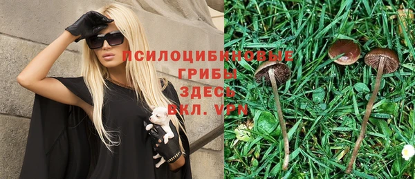ГАЛЛЮЦИНОГЕННЫЕ ГРИБЫ Богданович