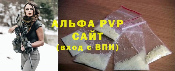 ГАЛЛЮЦИНОГЕННЫЕ ГРИБЫ Богданович