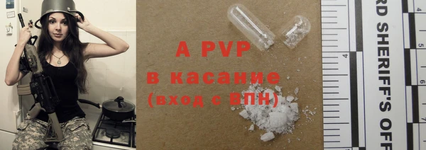 ГАЛЛЮЦИНОГЕННЫЕ ГРИБЫ Богданович