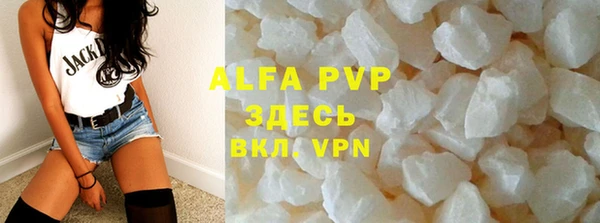 ГАЛЛЮЦИНОГЕННЫЕ ГРИБЫ Богданович