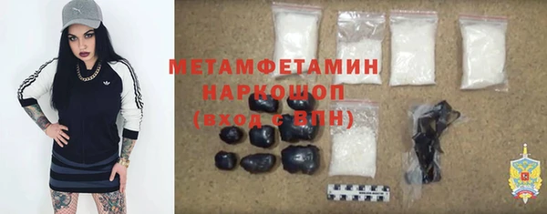 ГАЛЛЮЦИНОГЕННЫЕ ГРИБЫ Богданович