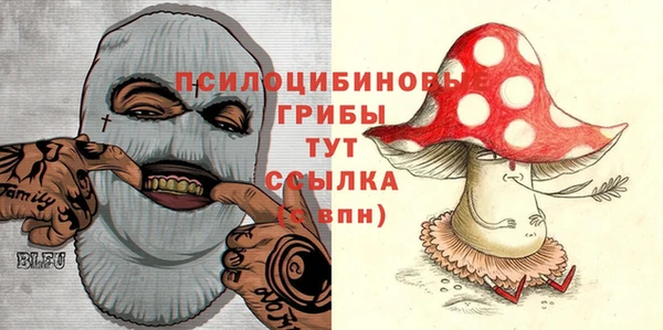 твердый Богородск