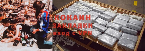 ГАЛЛЮЦИНОГЕННЫЕ ГРИБЫ Богданович