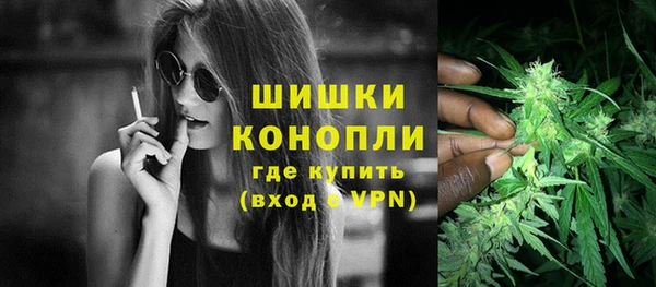 твердый Богородск