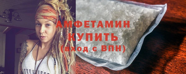 ГАЛЛЮЦИНОГЕННЫЕ ГРИБЫ Богданович