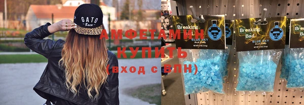 ГАЛЛЮЦИНОГЕННЫЕ ГРИБЫ Богданович
