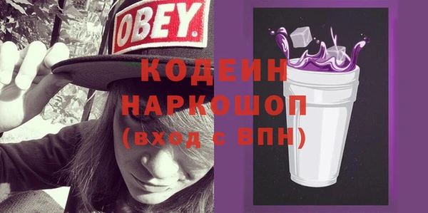 ГАЛЛЮЦИНОГЕННЫЕ ГРИБЫ Богданович