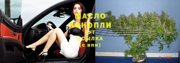 ГАЛЛЮЦИНОГЕННЫЕ ГРИБЫ Богданович