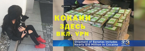 mdpv Богородицк