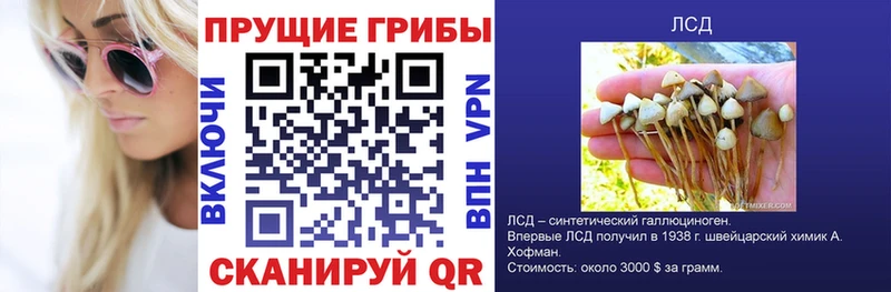 Псилоцибиновые грибы прущие грибы  Купить где  Кумертау 